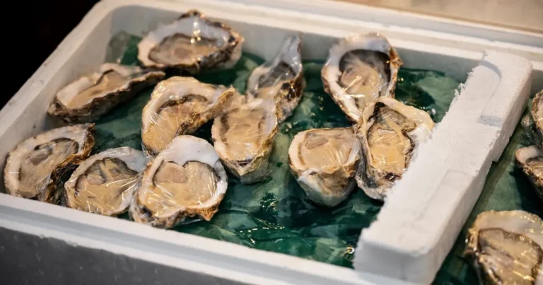 The Ultimate Guide: How to Preserve Oysters the Right Way (And How Long They Stay Safe)” in 2025